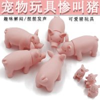 狗玩具宠物发声玩具 惨叫猪尖叫猪 泰迪小狗玩具狗狗玩具发泄玩具