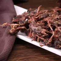 冻干猫食狗狗猫冻干鸡肉粒鸡小胸鸭肉粒牛肝鹌鹑宠物冻干大礼包