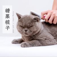 宠物用品狗狗梳子猫梳狗毛梳狗刷金毛泰迪开结针梳脱毛美发梳