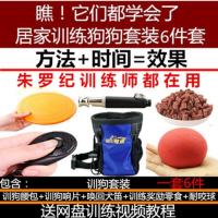 训狗工具训狗用品装备教程响片哨口令器材训练器用具马犬训练宠物|训练套装六件套
