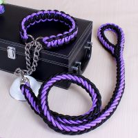 p链牵引绳遛狗绳中型犬柯基犬萨摩耶大型金毛拉布拉多项圈狗链子|紫黑色 S型号(适合6-15斤)