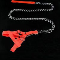 狗狗铁链子遛狗绳子狗链子小型中型大型犬牵引绳不锈铁链子|1.2米铁链+胸背带 直径4.0mm[约40-70斤用]