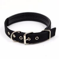 狗狗项圈脖圈泰迪金毛宠物颈圈中型小型犬大型犬宠物用品泡棉脖套|黑色 L(建议20-45斤宠物)