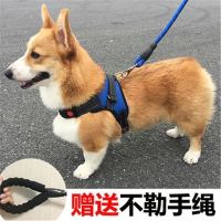 狗狗牵引绳背心式泰迪柯基巴哥小型犬中型犬遛狗背心式宠物胸背带|蓝色胸背+1.5米牵引绳 S型号(10-18斤)