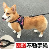 狗狗牵引绳背心式泰迪柯基巴哥小型犬中型犬遛狗背心式宠物胸背带|色胸背+1.5米牵引绳 M型号(18-35斤)