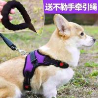 狗狗牵引绳背心式泰迪柯基巴哥小型犬中型犬遛狗背心式宠物胸背带|紫色胸背+1.5米牵引绳 M型号(18-35斤)