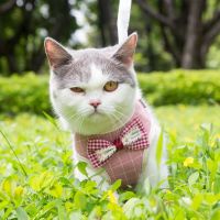 幼犬牵引绳泰迪狗链茶杯犬项圈小型犬小体狗绳铃铛超小号伸缩|新款粉色格子领结 L(9-15斤)