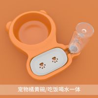 狗盆狗碗猫碗双碗自动饮水食盆狗狗碗猫咪食碗防打翻饭盆宠物用品|宠物橘黄碗
