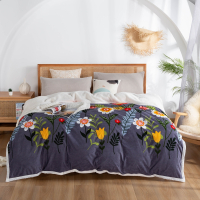 朴晴家纺 双层毛毯被子被套加厚冬季保暖珊瑚绒毯子午睡法兰绒休闲毯婴儿绒沙发盖毯