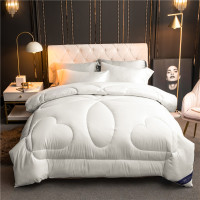 抗菌冬被子加厚保暖被单双人暖绒被丝绵被七孔被芯冬季