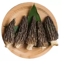 君奕龙 羊肚菌20g尝鲜装 特级山珍干货 松茸伴侣煲汤食材