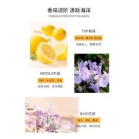 【陈乔恩明星同款】KONO洗发水控油清洁止痒蓬松持久留香洗发膏 500.00ml