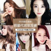 2019流行的发色一洗彩色植物洗发水染发膏网红盖白发泡泡染发剂 自然黑（可盖白发）