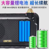 SAST/先科 老人看戏机老年唱戏机广场舞戏曲视频播放器迷你多功能便携 12吋高清版送32G+内置4000MA 标配