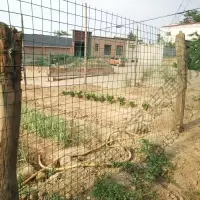 苏宁严选 围拦鸡网铁丝网围栏铁艺防护栏网钢丝网栅栏养殖网铁网养鸡网加粗户外拦鸡网围墙防护网家用TTT