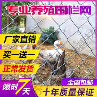 苏宁严选 围栏鸡网镀锌铁丝网围栏勾花网护栏网养狗养鸡钢丝网果园拦牛羊防护隔离网福竹新款