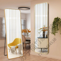 苏宁严选 镜子全身家用落地镜可折叠网红全身镜少女卧室欧式穿衣镜壁挂贴墙福竹新款