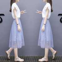 白织鸟网纱裙连衣裙两件套夏女学生韩版半身裙中长款裙子套装