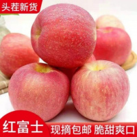 【特价10斤23.9】现摘红富士苹果山西新鲜水果脆甜爽口非冰糖心嘎啦果【三天内发货】