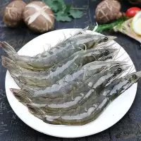 整箱大海虾青岛大虾鲜活新鲜海虾对虾冷冻海鲜水产青虾基围虾白虾【三天内发货】