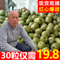 30枚装仅29.9]现季四川红心猕猴桃新鲜斤当季水果整箱30个弥猴桃蒲江奇异果[三天内发货]