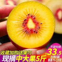 30枚装仅29.9]四川蒲江红心猕猴桃中大果30粒新鲜当季水果奇异果弥猴桃[三天内发货]