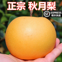 10斤仅32.8正宗山东莱阳秋月梨新鲜水果5五斤冰糖蜜梨子丰水当季应季时令批[三天内发货]