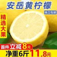 四川安岳柠檬6斤新鲜当季水果现摘一级鲜青柠檬批发[三天内发货]