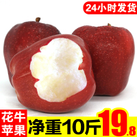 甘肃天水花牛苹果10斤水果新鲜当季整箱粉批平果现季应季蛇果【三天内发货】