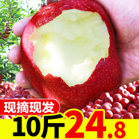 甘肃天水花牛苹果水果新鲜当季整箱10斤应季红蛇果粉面丑现季【三天内发货】