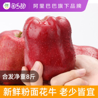 甘肃花牛净重8斤当季新鲜水果苹果粉面刮泥应季蛇果【三天内发货】