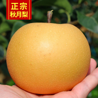 10斤仅32.8秋月梨子雪梨新鲜山东10莱阳梨丰水梨5斤冰糖梨水果当季整箱【三天内发货】