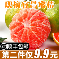 宜昌蜜桔橘子薄皮桔子10斤当季水果新鲜早熟应季青皮柑橘丑橘10[三天内发货]