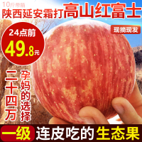 现摘苹果水果新鲜整箱10斤应季陕西延安水晶红富士批发净9斤【三天内发货】
