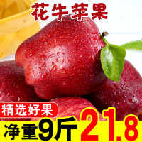 花牛苹果水果新鲜净重9斤甘肃天水整箱应当季蛇果孕妇粉面辅食10【三天内发货】