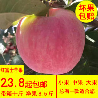 新鲜应季苹果水果当季整箱红富士水果脆甜现摘现发带箱10斤【三天内发货】