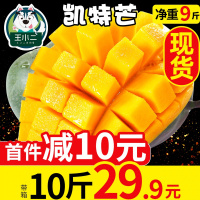 攀枝花凯特芒果新鲜水果青芒当季甜心芒9斤大应季10[三天内发货]