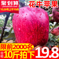 甘肃天水花牛苹果净重9斤新鲜水果当季红蛇果粉面辅食整箱10【三天内发货】