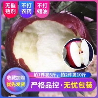 甘肃新鲜天水花牛苹果水果带箱10斤现摘红蛇果礼县粉面[三天内发货]