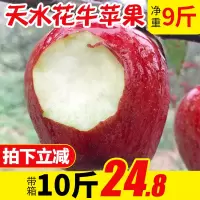 甘肃天水花牛苹果净重9斤当季新鲜水果刮泥粉面红蛇果510【三天内发货】
