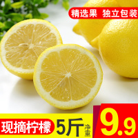 安岳柠檬5斤柠檬水果免邮新鲜一级皮薄香水鲜青香水柠檬[三天内发货]
