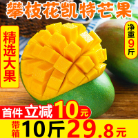 [买1送1]四川攀枝花凯特芒果带箱10斤 新鲜当季水果大青芒[三天内发货]