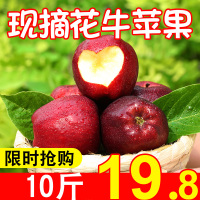 花牛苹果水果10斤新鲜当季天水蛇果整箱应季脆甜糖心丑红富士【三天内发货】