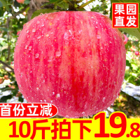苹果水果新鲜应季红富士10斤当季脆甜山西丑萍果冰糖心整箱[三天内发货]