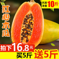 海南红心木瓜5斤牛奶木瓜应季新鲜水果冰糖心青木瓜整箱10斤[三天内发货]