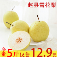 10斤仅29.9雪花梨10斤当季赵县雪梨新鲜水果梨子应季砀山梨皇冠梨香梨批发[三天内发货]