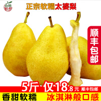 [抢]5斤烟台太婆梨 水果新鲜当季整箱大头梨软茄梨啤梨香蕉梨[三天内发货]