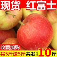 红富士苹果水果新鲜当季整箱10斤批应季陕西脆甜嘎啦丑萍果青【三天内发货】