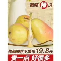 太婆梨大头梨红软啤梨5斤新鲜老婆梨莱阳香蕉洋茄水果梨[三天内发货]