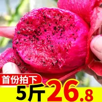 [顺丰]海南红心火龙果新鲜当季水果整箱5斤红肉10大果[三天内发货]